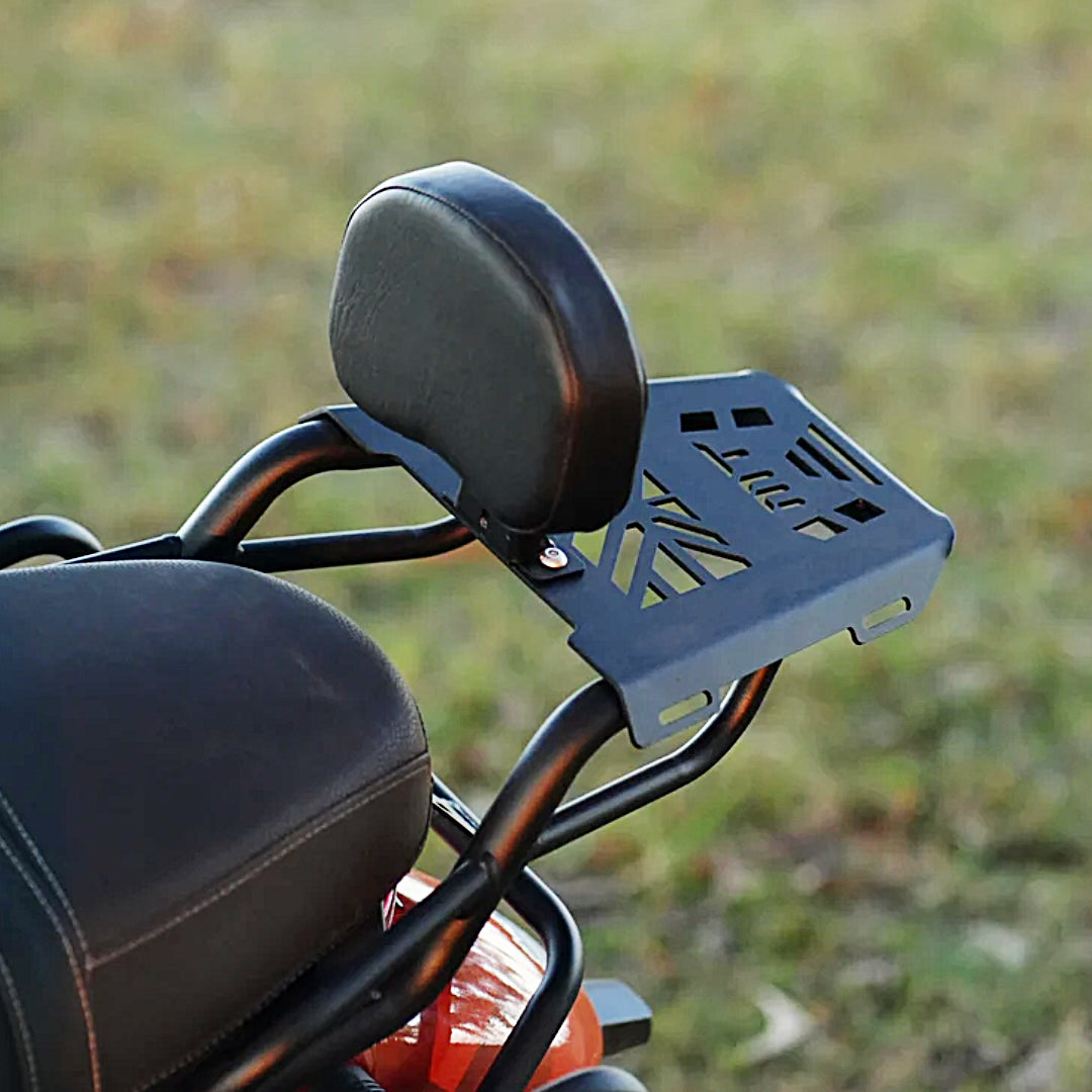 Mototorque TVS Ronin Back Carrier