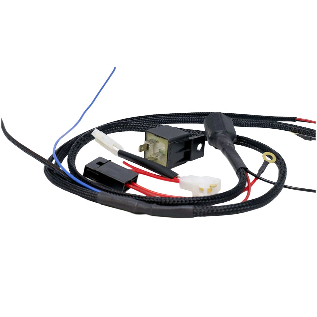 Raw Stone Wiring Harness 10/20/40S