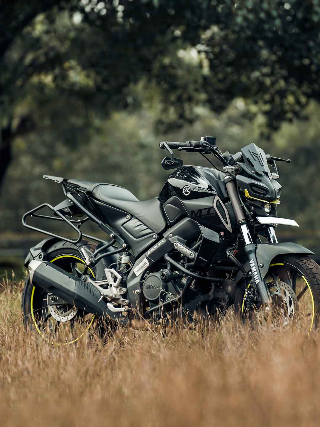 Yamaha MT-15 Expedition Carrier with Saddle Stay - JB Racing