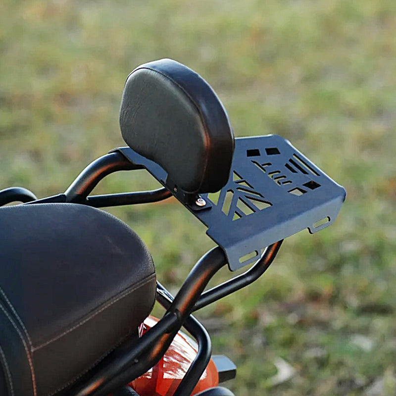 Mototorque -Tvs Ronin - Back Carrier